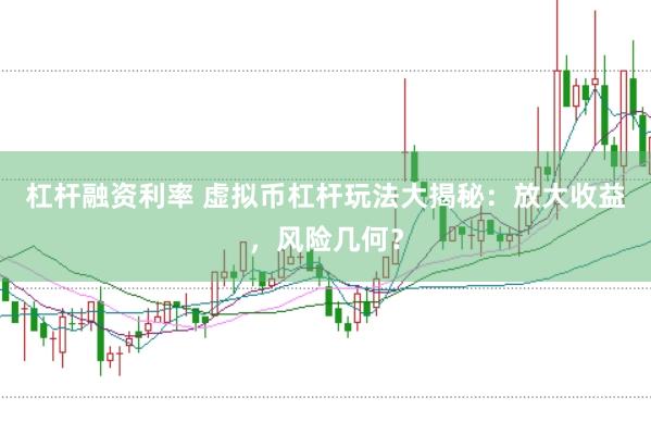 杠杆融资利率 虚拟币杠杆玩法大揭秘：放大收益，风险几何？