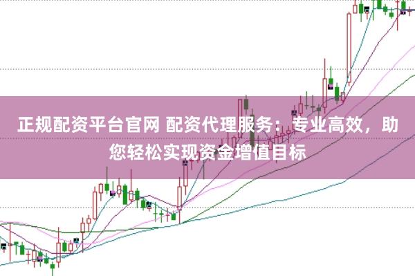 正规配资平台官网 配资代理服务：专业高效，助您轻松实现资金增值目标
