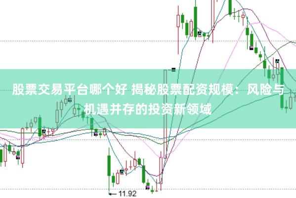 股票交易平台哪个好 揭秘股票配资规模：风险与机遇并存的投资新领域