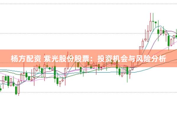 杨方配资 紫光股份股票：投资机会与风险分析