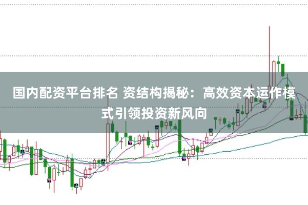 国内配资平台排名 资结构揭秘：高效资本运作模式引领投资新风向