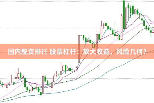 国内配资排行 股票杠杆：放大收益，风险几何？
