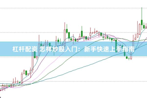 杠杆配资 怎样炒股入门：新手快速上手指南