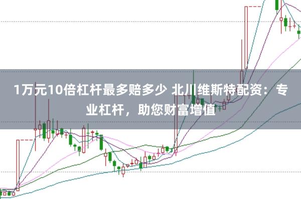 1万元10倍杠杆最多赔多少 北川维斯特配资：专业杠杆，助您财富增值