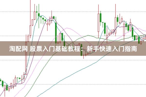 淘配网 股票入门基础教程：新手快速入门指南