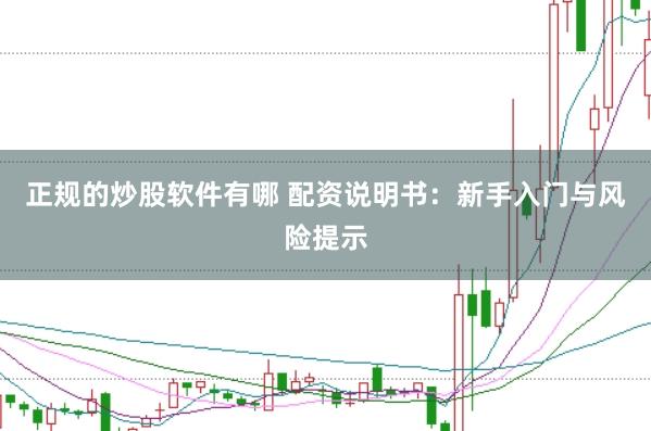 正规的炒股软件有哪 配资说明书：新手入门与风险提示