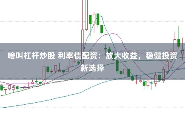 啥叫杠杆炒股 利率债配资：放大收益，稳健投资新选择