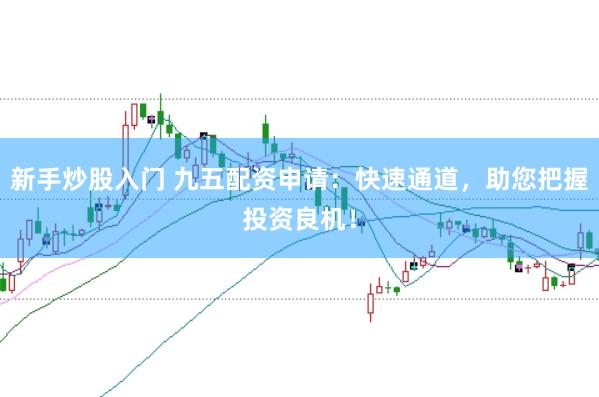 新手炒股入门 九五配资申请：快速通道，助您把握投资良机！