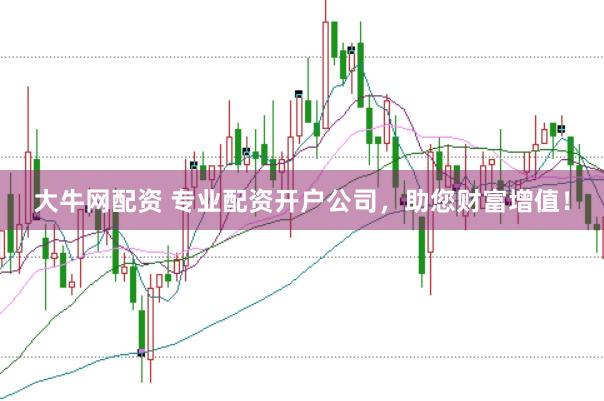 大牛网配资 专业配资开户公司，助您财富增值！