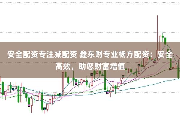 安全配资专注减配资 鑫东财专业杨方配资：安全高效，助您财富增值