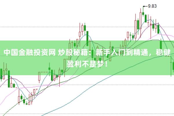 中国金融投资网 炒股秘籍：新手入门到精通，稳健盈利不是梦！