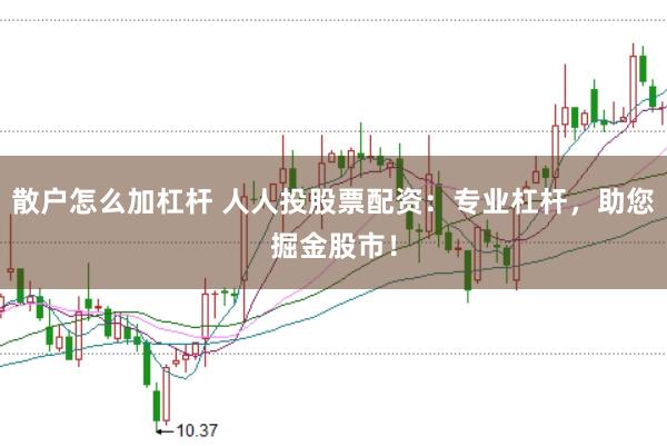 散户怎么加杠杆 人人投股票配资：专业杠杆，助您掘金股市！