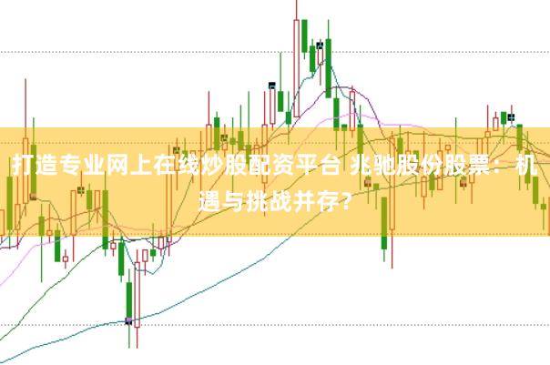 打造专业网上在线炒股配资平台 兆驰股份股票：机遇与挑战并存？