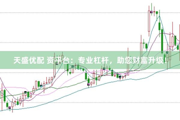 天盛优配 资平台:专业杠杆,助您财富升级!