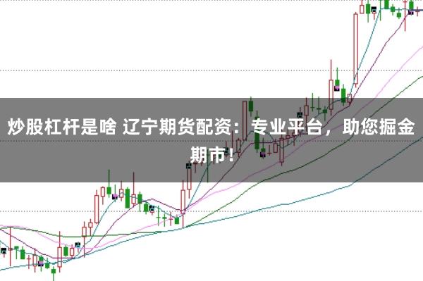 炒股杠杆是啥 辽宁期货配资:专业平台,助您掘金期市!