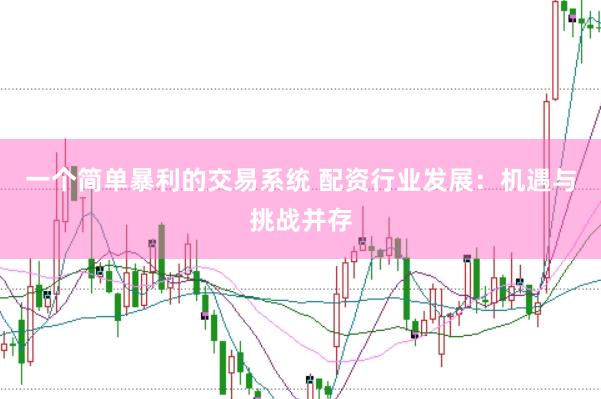 一个简单暴利的交易系统 配资行业发展：机遇与挑战并存
