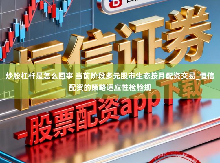 炒股杠杆是怎么回事 当前阶段多元股市生态按月配资交易_恒信配资的策略适应性检验规